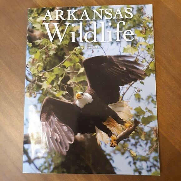 Lot of 5 Arkansas Wildlife Magazine 2021 Whole year - Picture 4 of 6